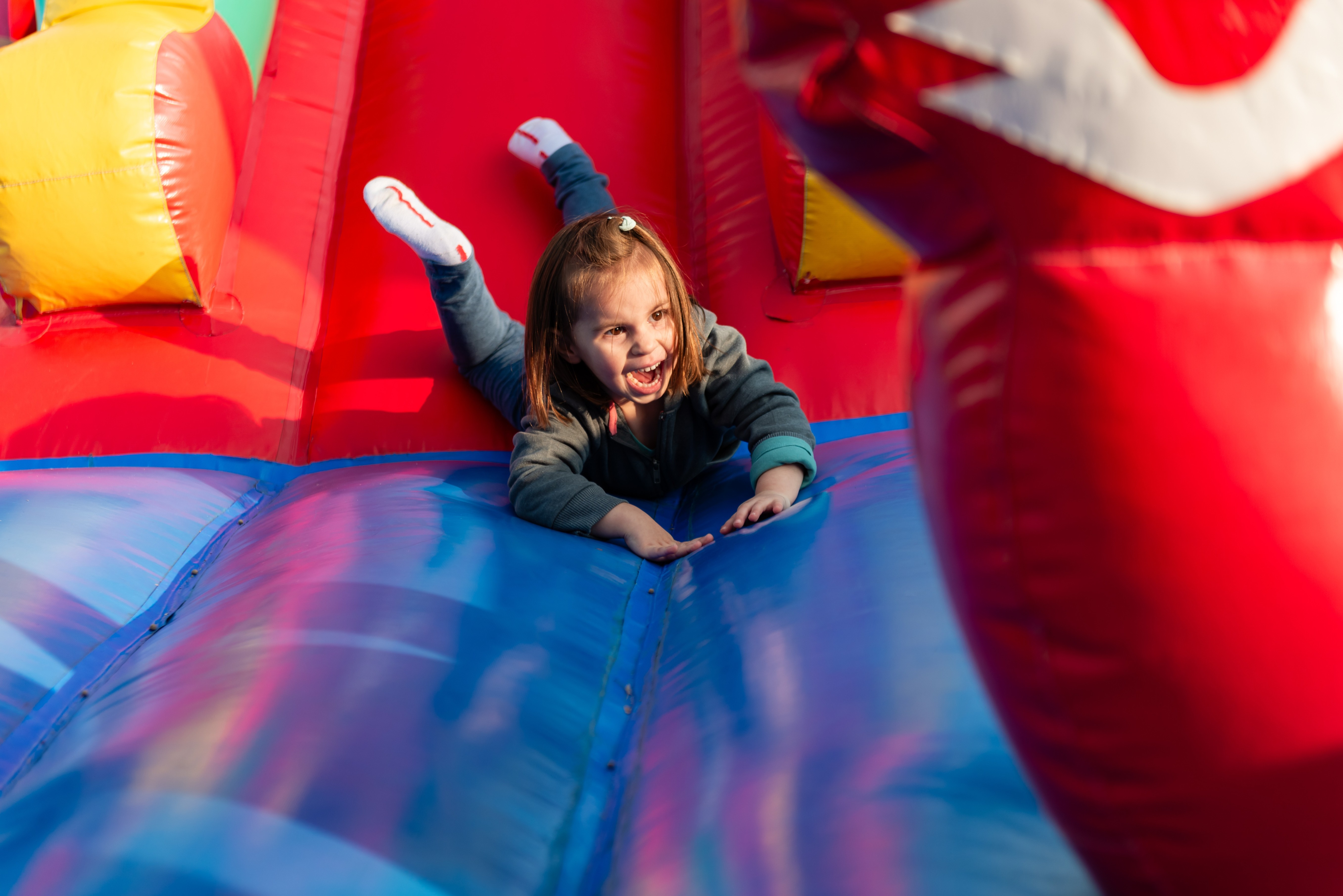 adobestock1538184344.jpeg