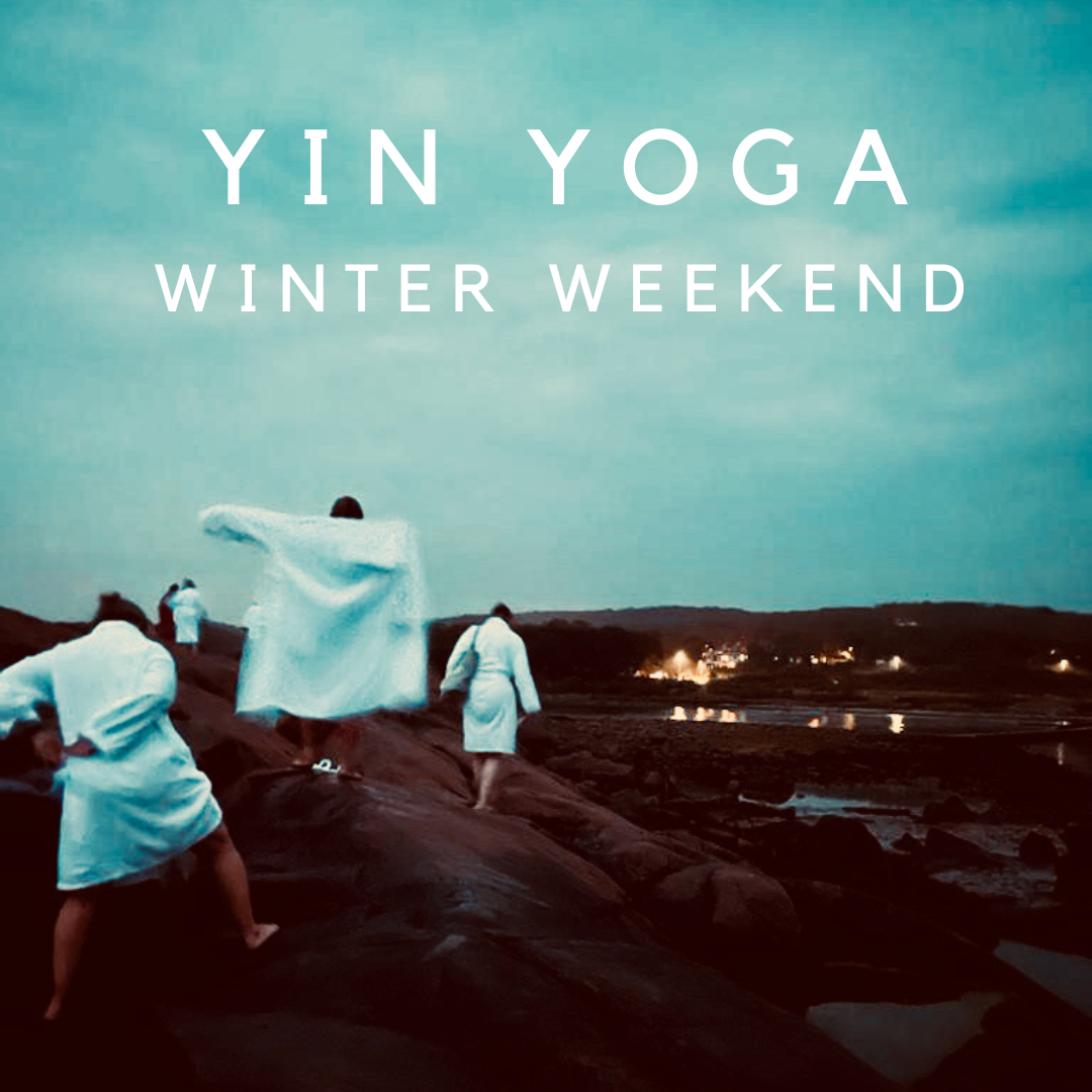 Bildbeskrivning saknas för evenemanget: YIN YOGA WINTER WEEKEND med Coastal Yoga på Steninge Kuststation - 26-28 januari 2024