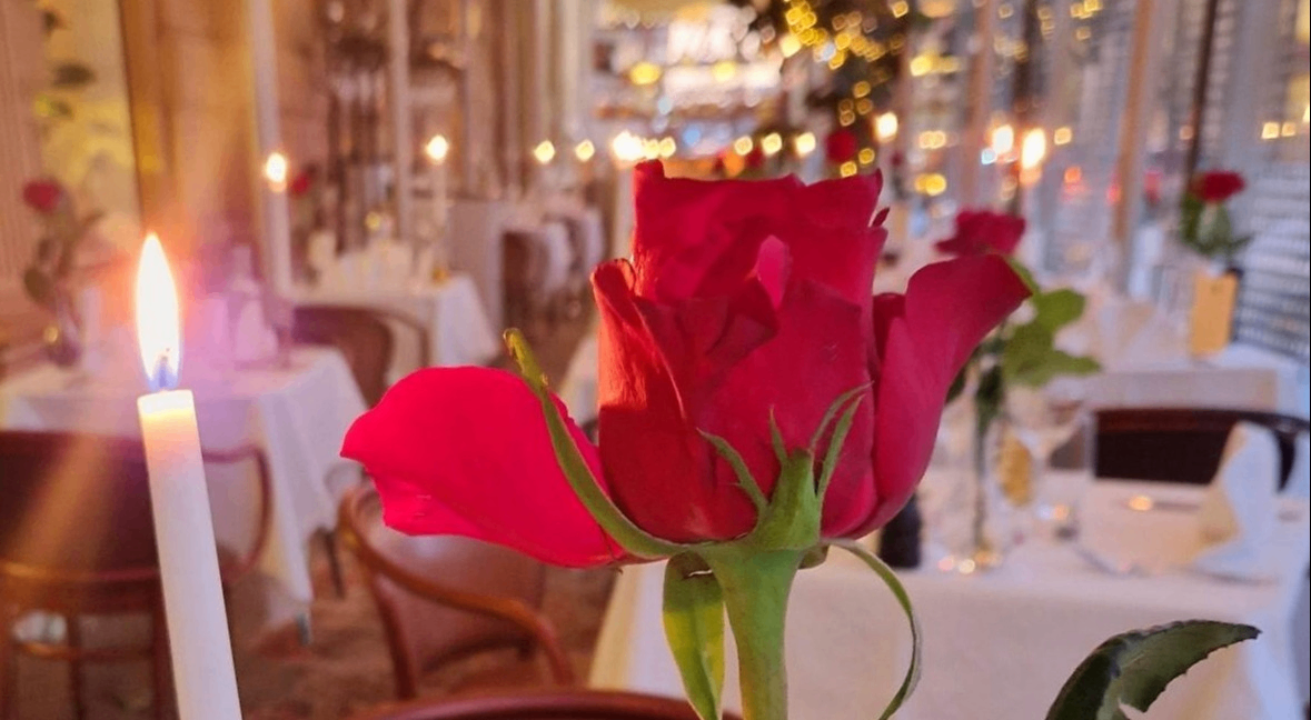 w-1179h-648-106b42-w-1179h-797-edbc55-Närbild ros veranda.jpg