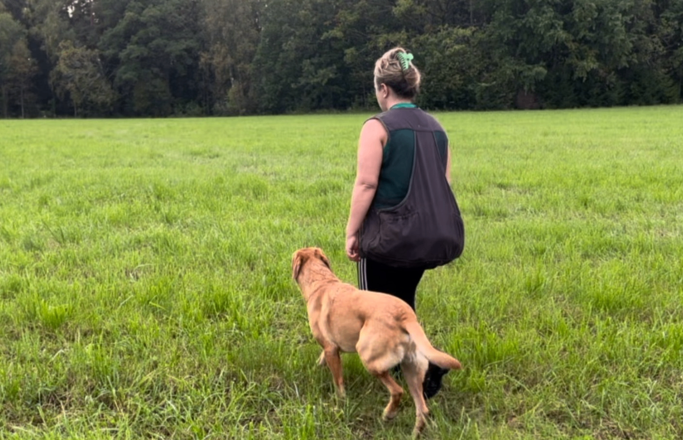 w-1407h-907-e9c21f-FacebookEventPhoto-752727897226324