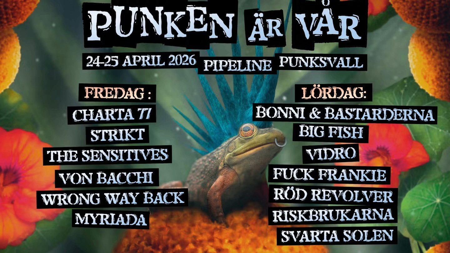 w-1440h-810-4ff1c5-Punken är vår.avif