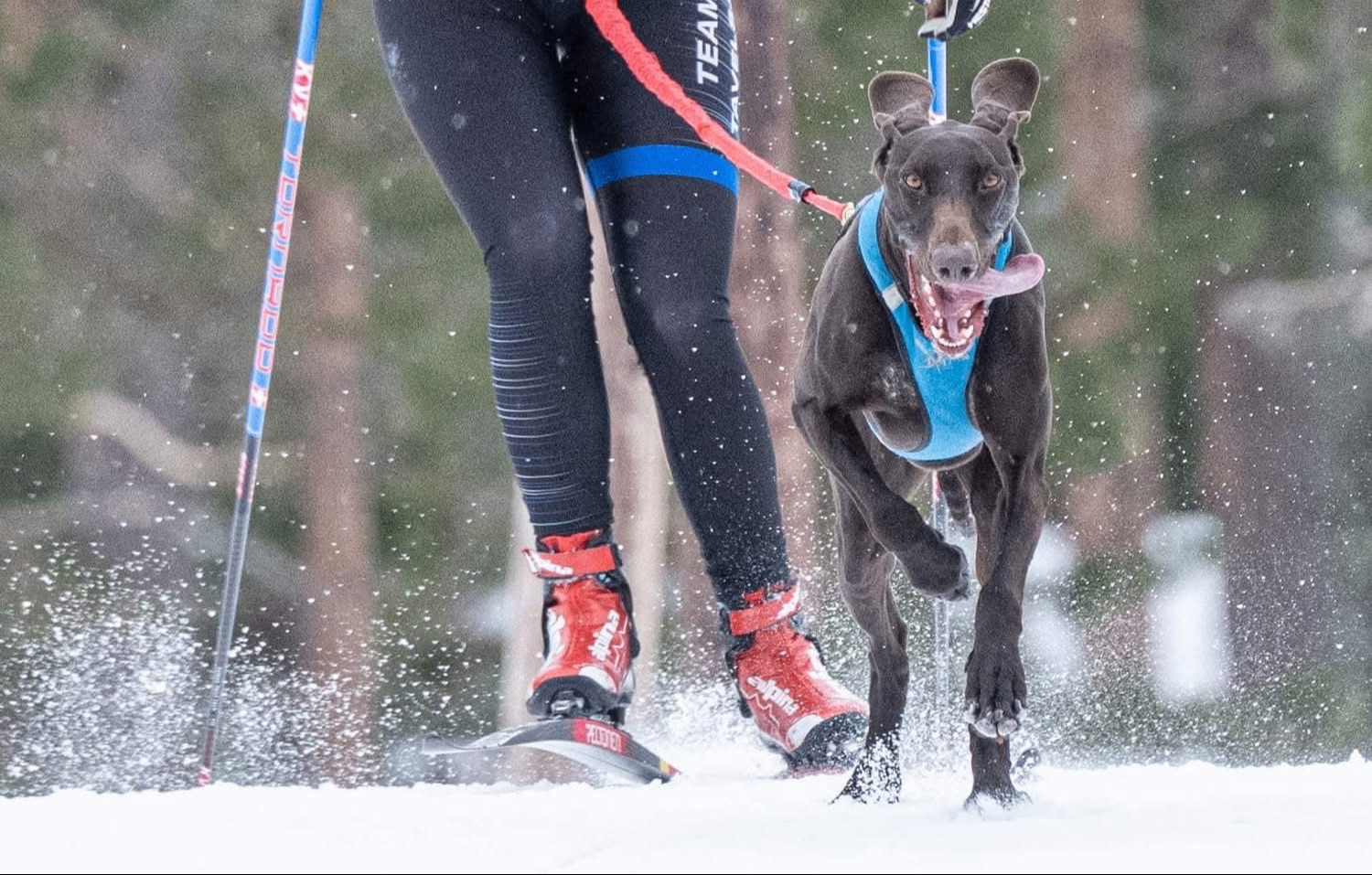 w-1500h-957-08476e-facebookEvent-1426464262193763-0.xx&_nc_gid=oBd16f_HN_Pqli78LUz7KQ&oh=00_AfrmxkGtyIWlKNh3x8nrMrySEzQqtBxXW-MYXXnRtzjLeg&oe=6982CC76