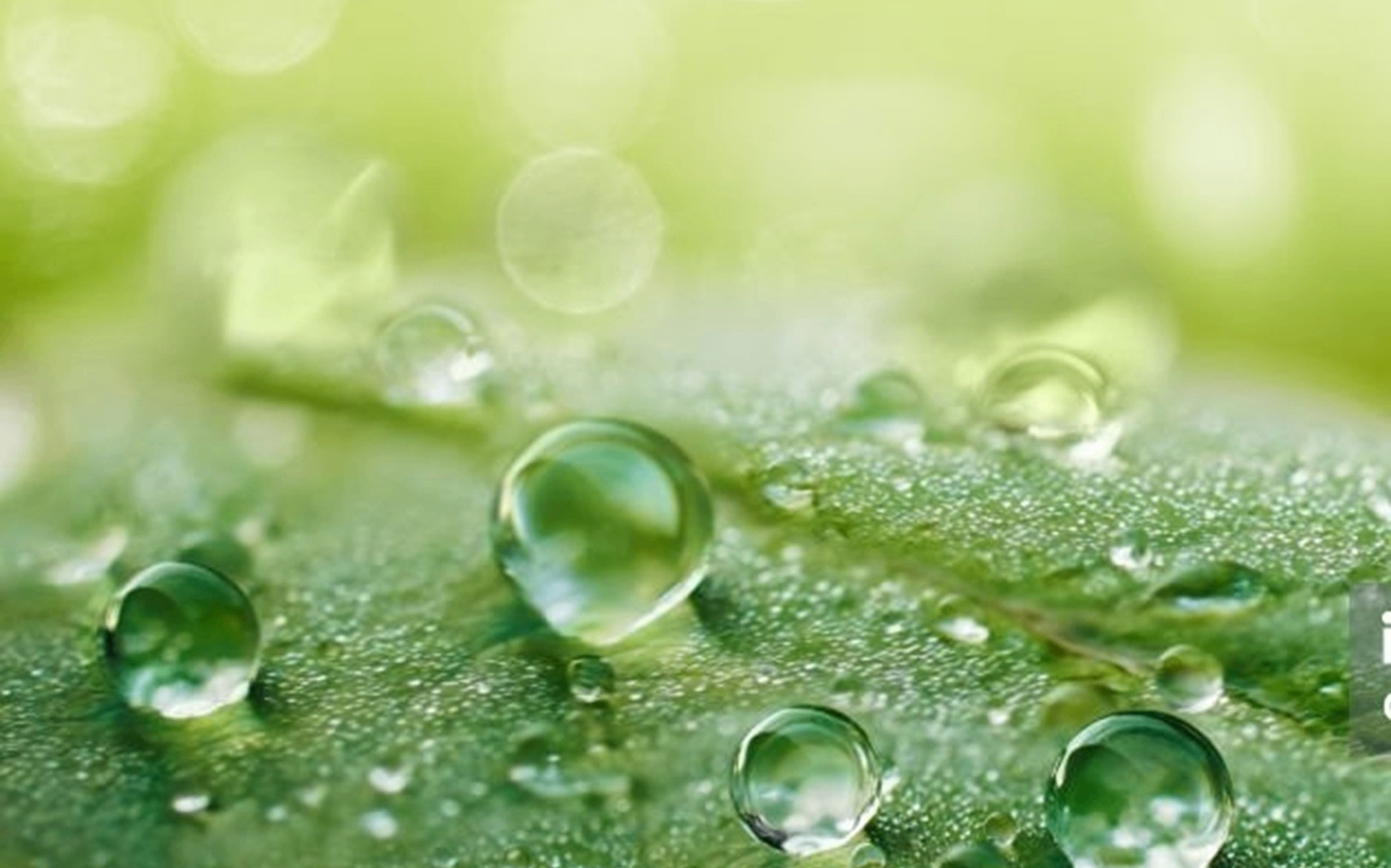 w-1880h-1173-948e65-facebookEvent-1423578346103081-0.xx&_nc_gid=PjBfrZh1k4VZOR7B57HyMg&oh=00_AfoHrgaAPjrXpNVpJFKdBJWw5et8alZhpLckjFNckPHLVw&oe=69643F4E