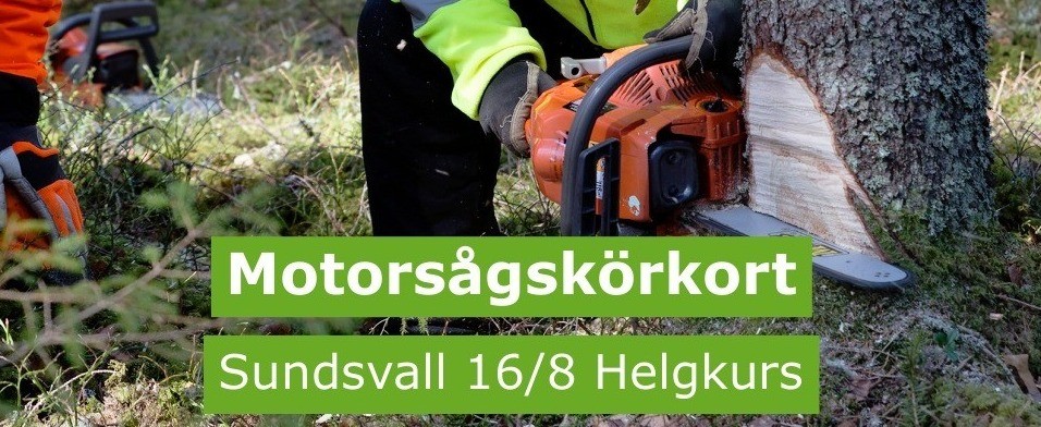 w-956h-392-c3213b-w-960h-400-43b67c-motorsåg svall 168_2025-06-27_084633.jpg