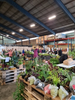 Bildbeskrivning saknas för evenemanget: Vårens stora växtmarknad