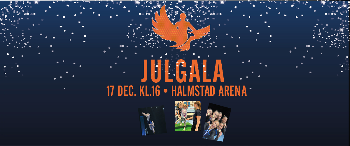 Bildbeskrivning saknas för evenemanget: Halmstad Frigymnasters Julgala
