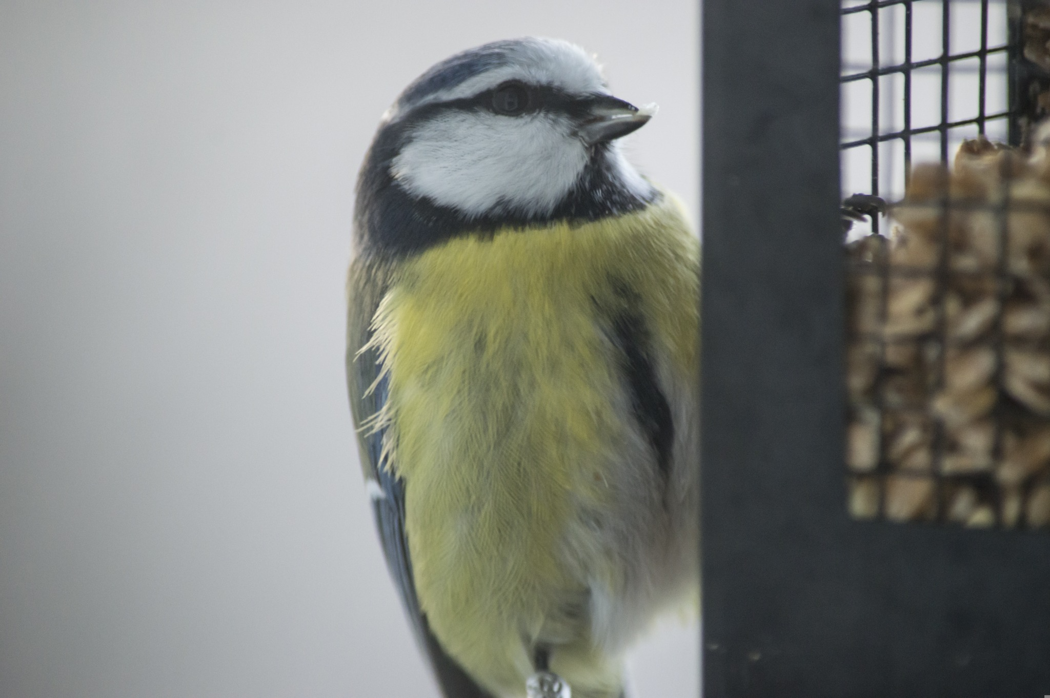 FacebookEventPhoto-1189936609911649