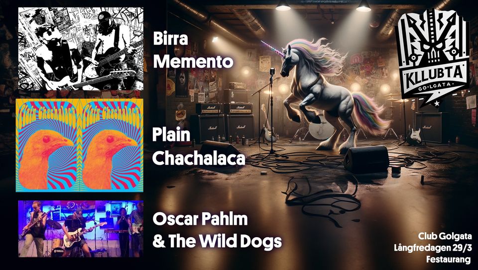 Bildbeskrivning saknas för evenemanget: Club Golgata - Plain Chachalaca, Oscar Pahlm & the Wilddogs & Birra Memento