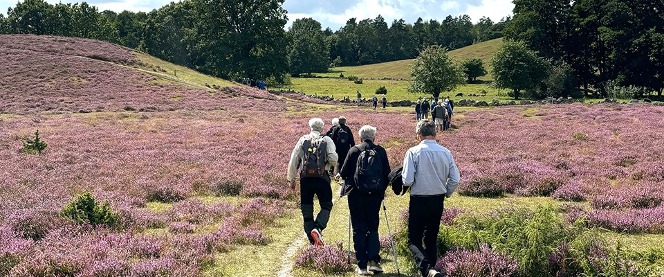 Evenemangs bild för evenemang Vandring i Olle Adolphsons fotspår 2026