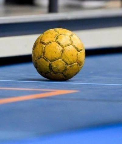 w-423h-498-f22429-handboll.jpg