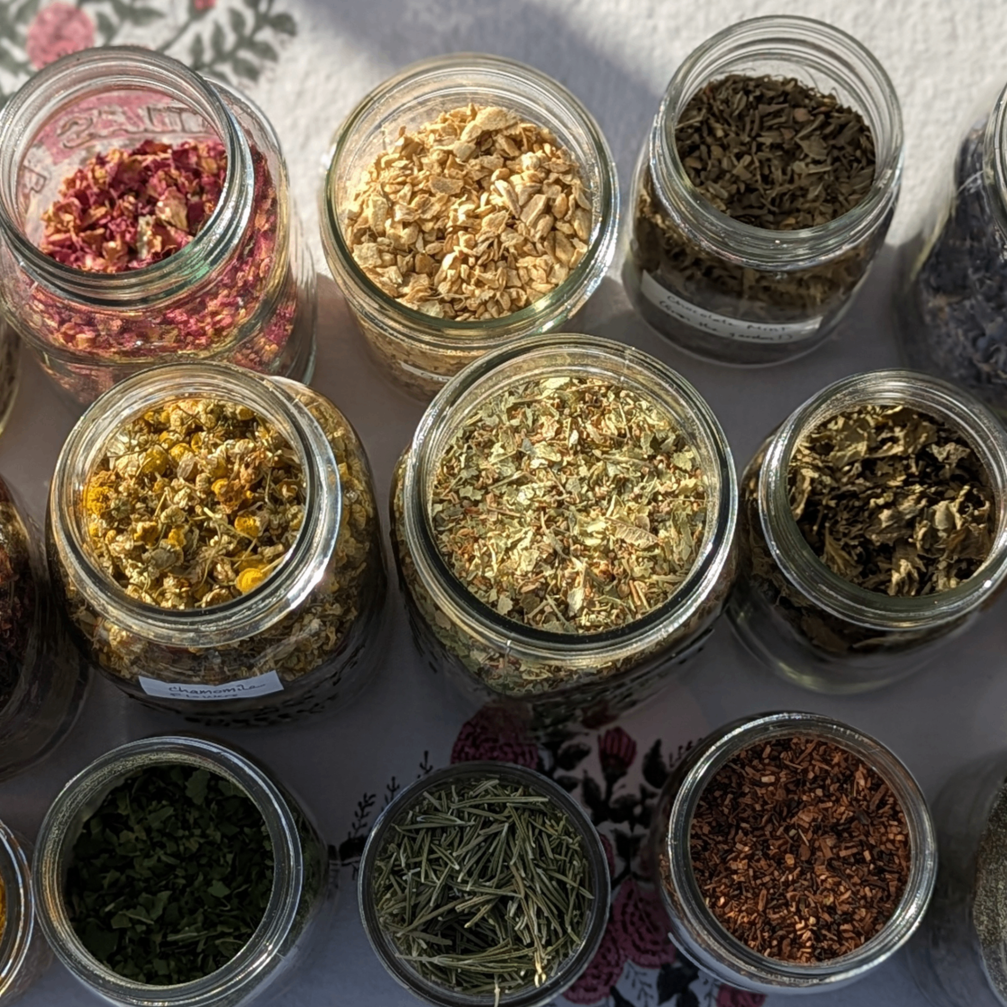 Event Photo: Herbal Tea Workshop