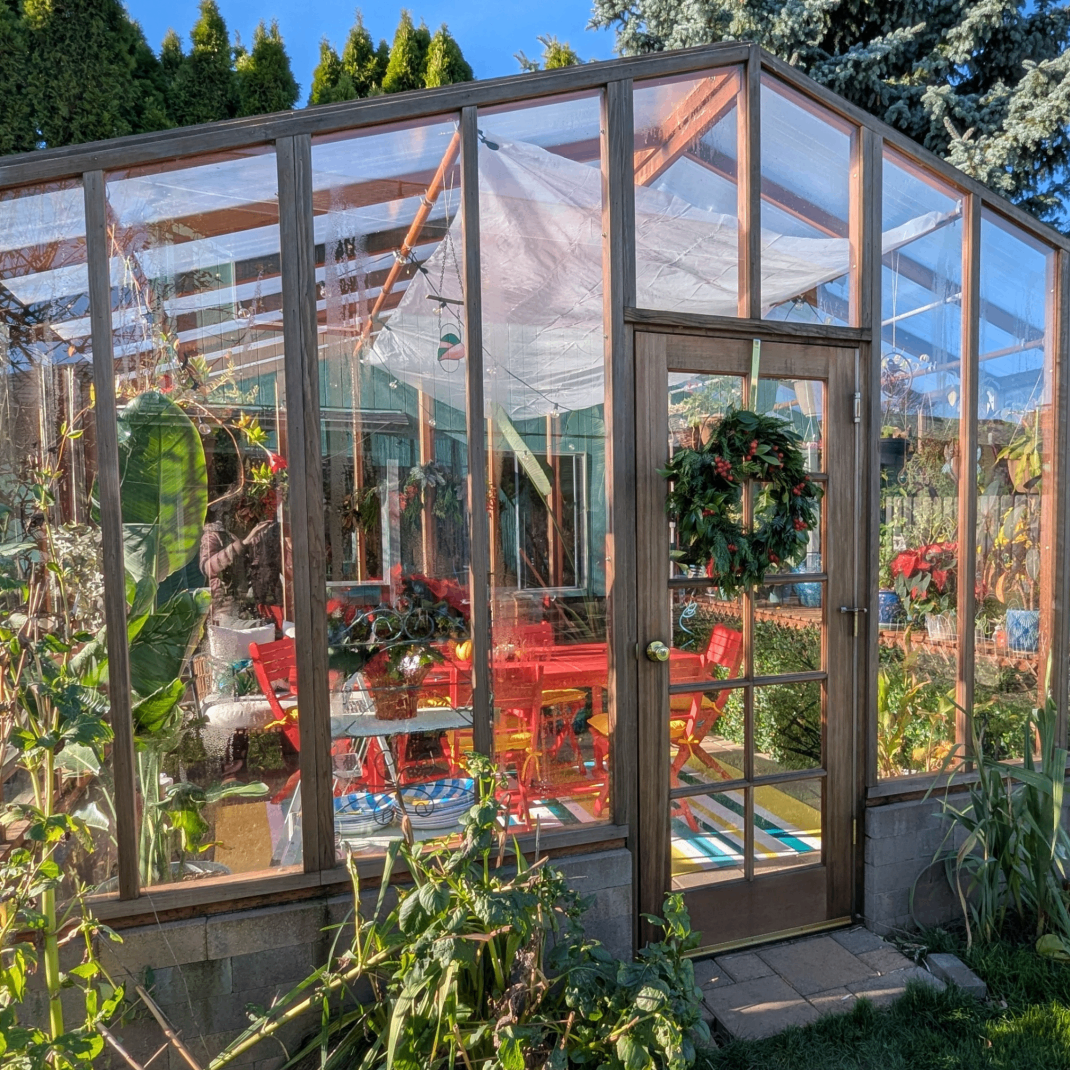 Event Photo: Herbal Tea Workshop