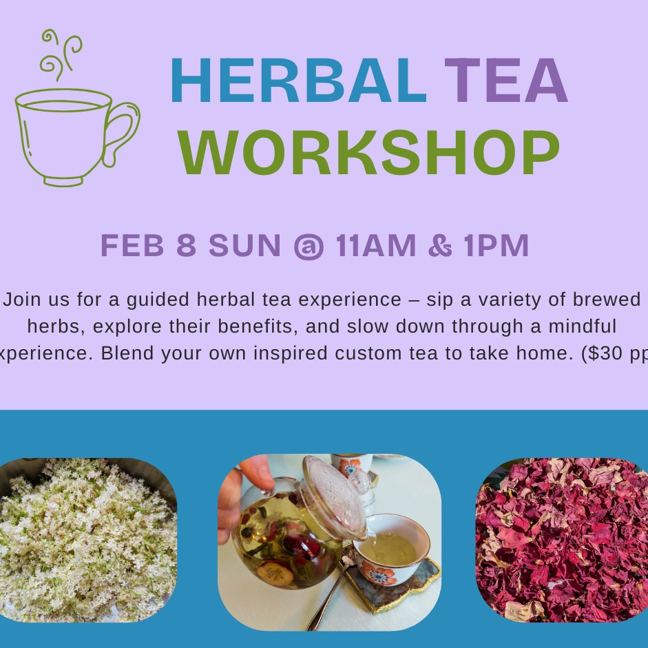 Event Photo: Herbal Tea Workshop