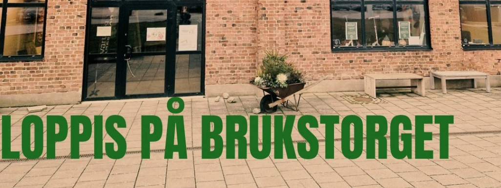 LOPPIS PÅ BRUKSTORGET_20241212_143159_0000.png