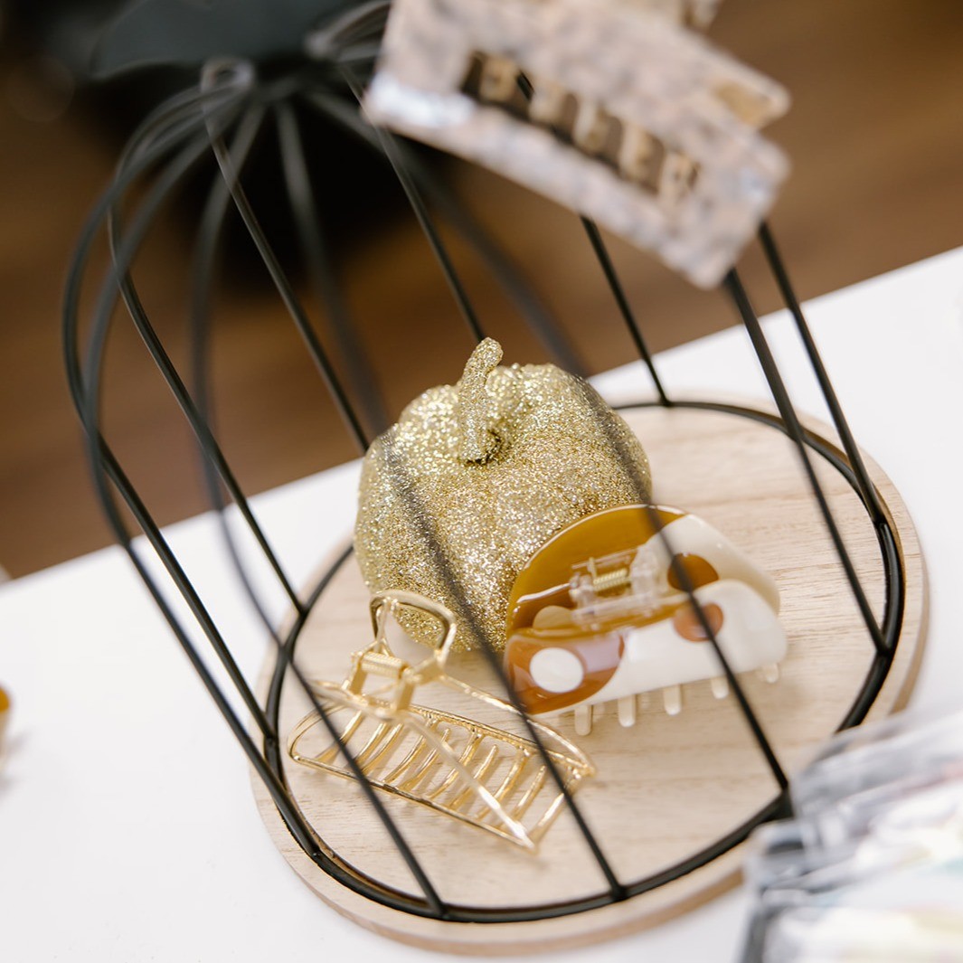 claw clips and gold pumpkin inside birdcage