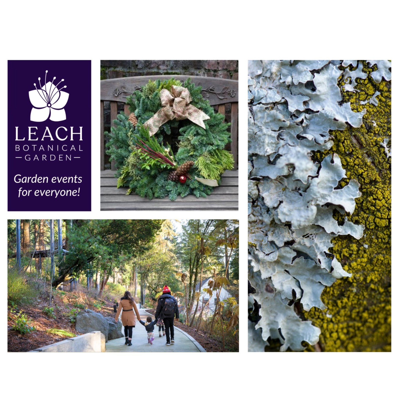 Event Photo: Winterfest