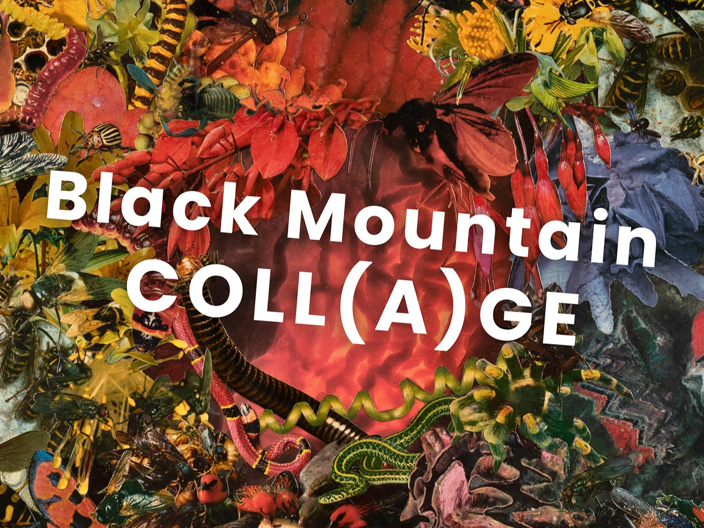 Black Mountain COLL(A)GE | Explore Asheville