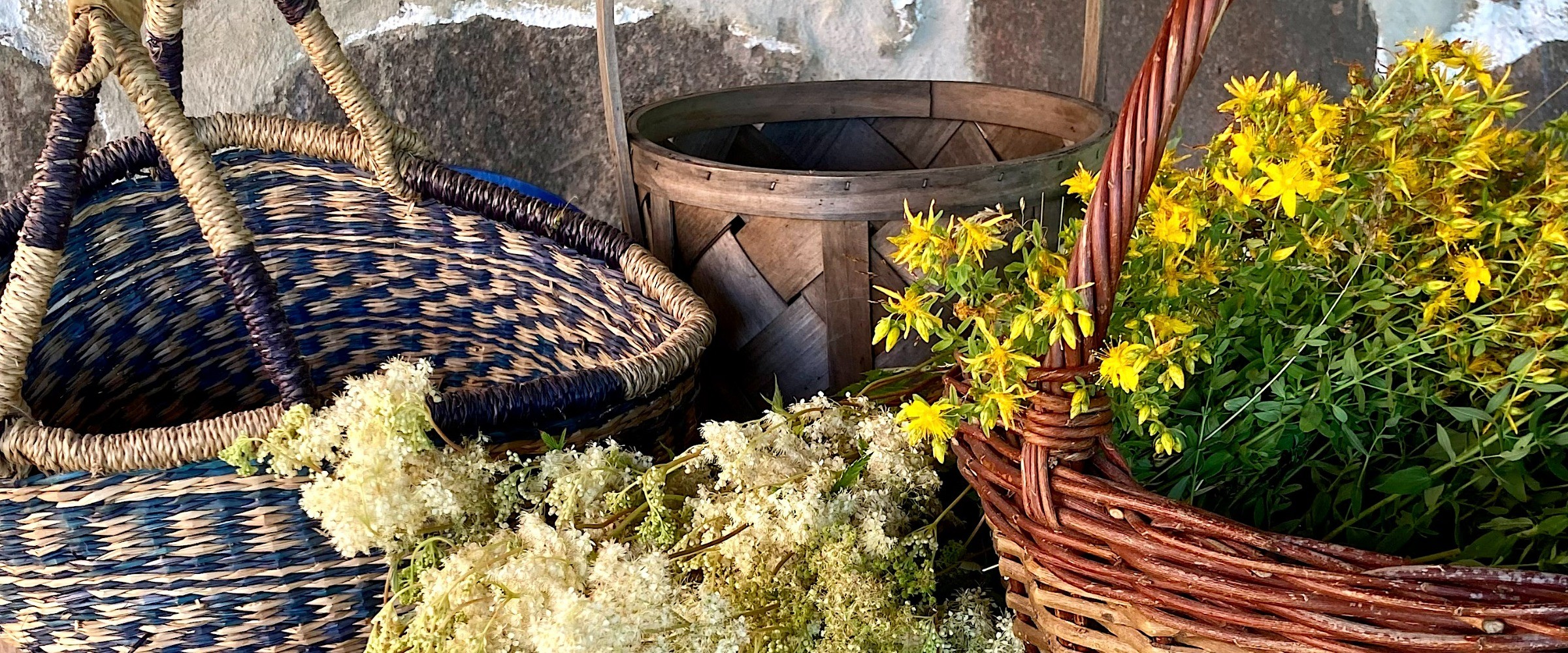 Evenemangs bild för evenemang Vandring Söndraby-Oppmanna kulturlandskap