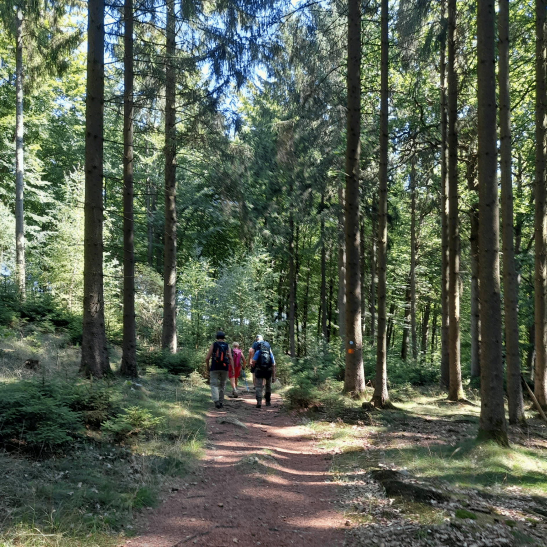 Evenemangs bild för evenemang Vandring Stackedala, Tollarp