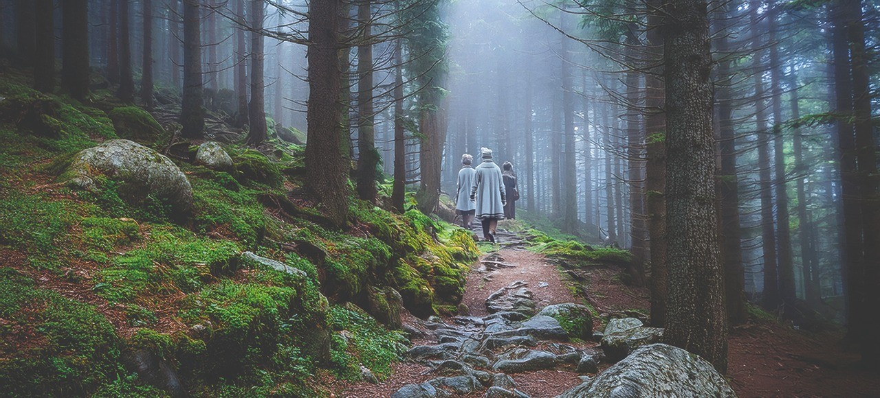 Vitterbarn som går på en stig i en dimmig, mörk skog. Bilden är skapad med AI. Norra Berget.