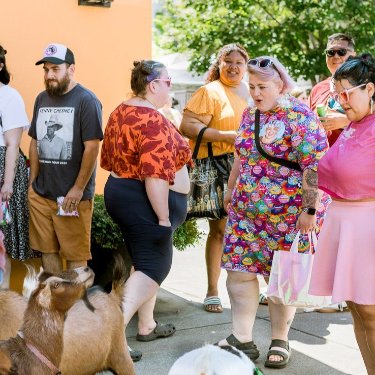 goats greeting people in a crowd