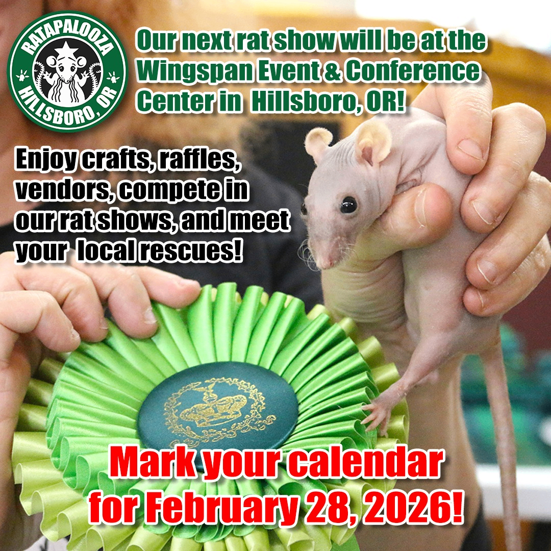 Event Photo: Ratapalooza