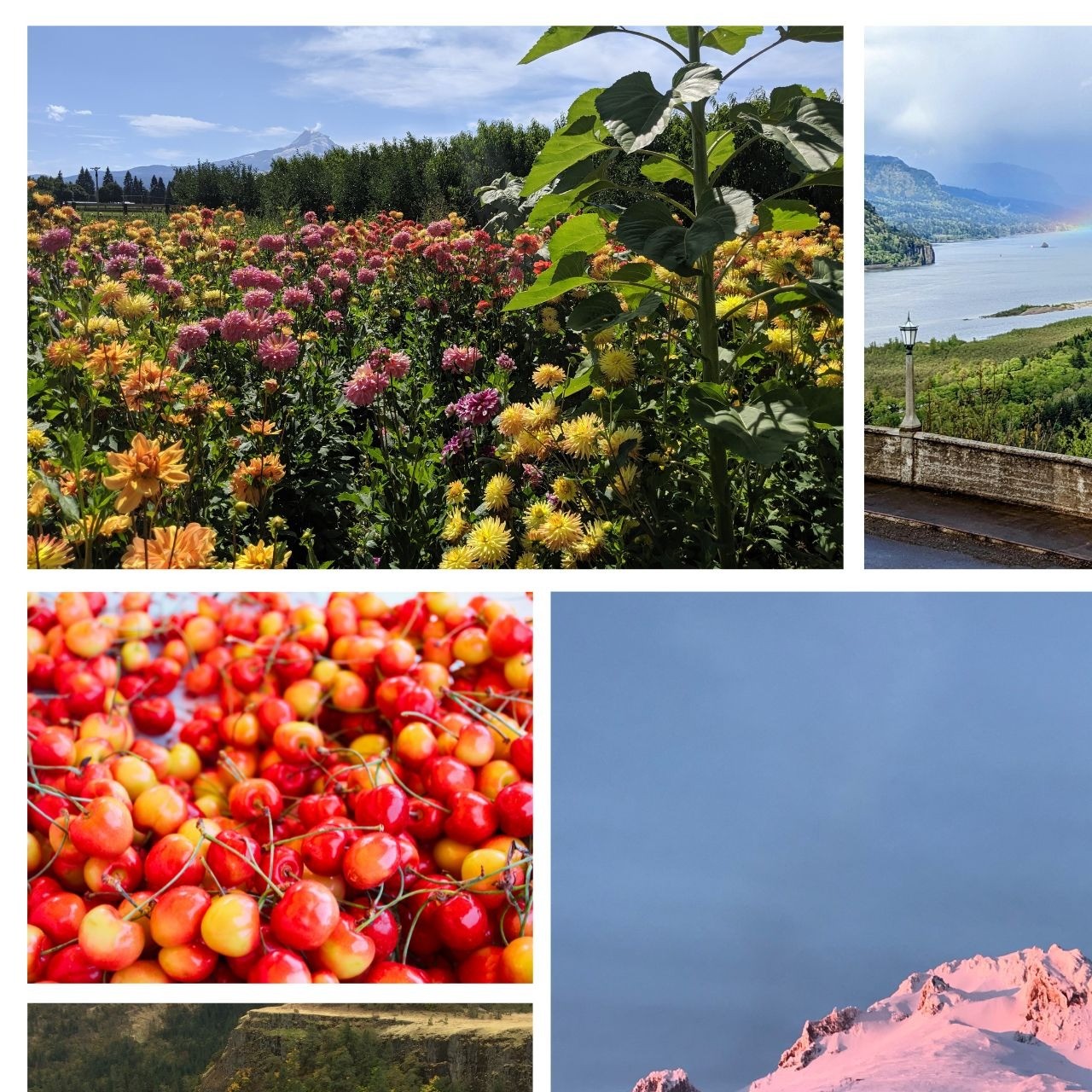 a grid of images depicting a field of flowers, cherries, a mountain peak, and a river valley