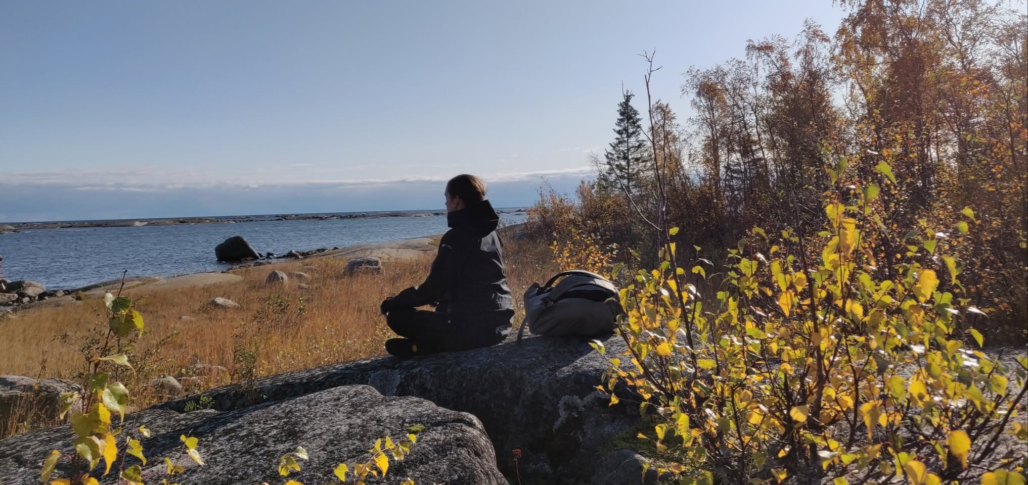 Upptäck Skogen: Yoga , svampjakt och mat över öppen eld