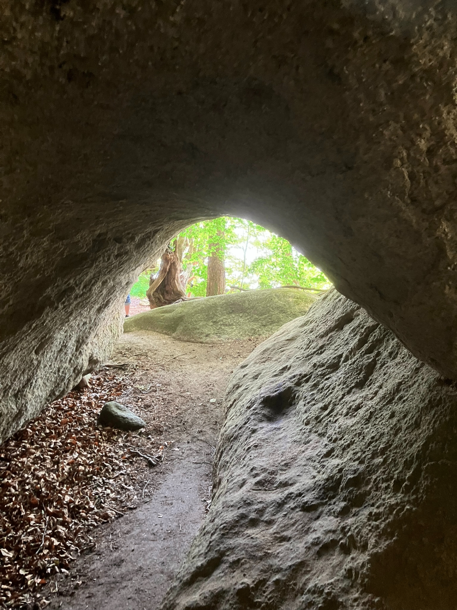 Evenemangs bild för evenemang Ivö solens ö och Fröjas vagn i Vånga