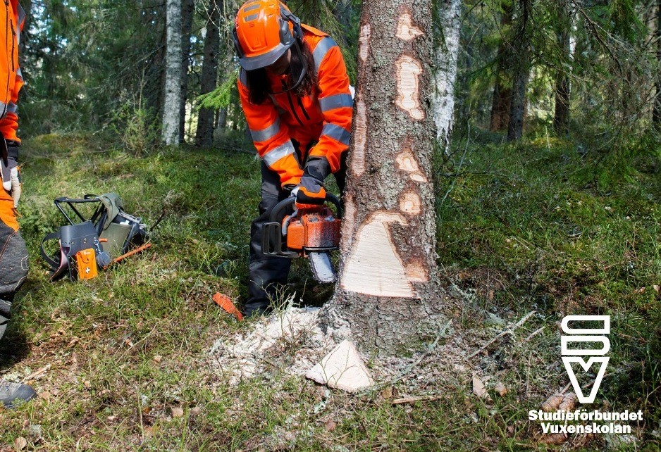 w-938h-642-959a09-motorsåg s-vall_2025-01-24_125444.jpg