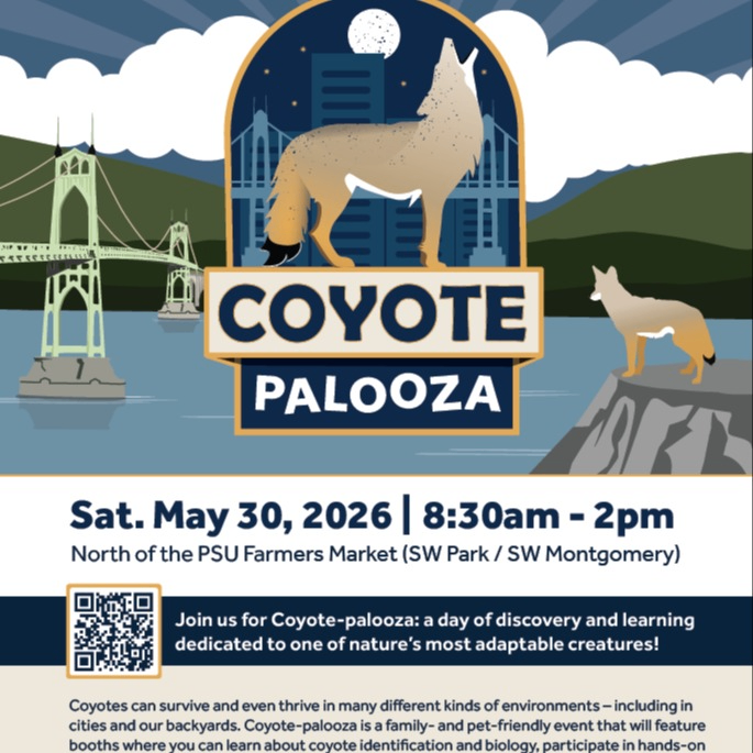 Event Photo: Coyote-palooza