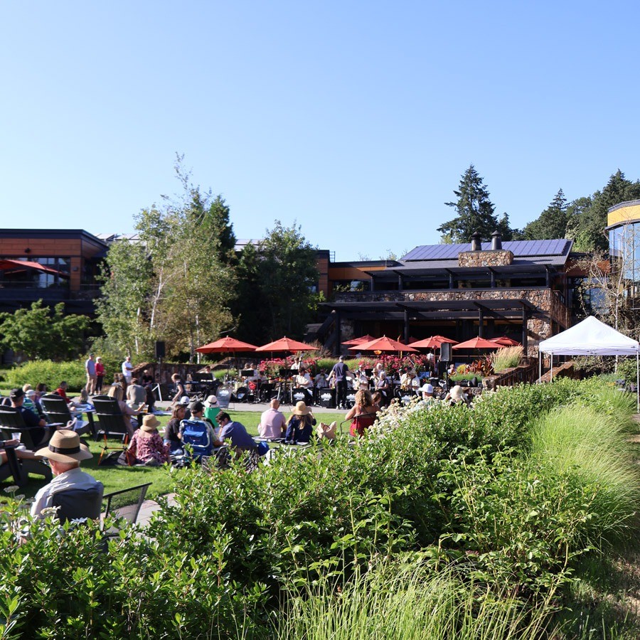 Guests sitting on the lawn in the Estate Garden as musicians perform.