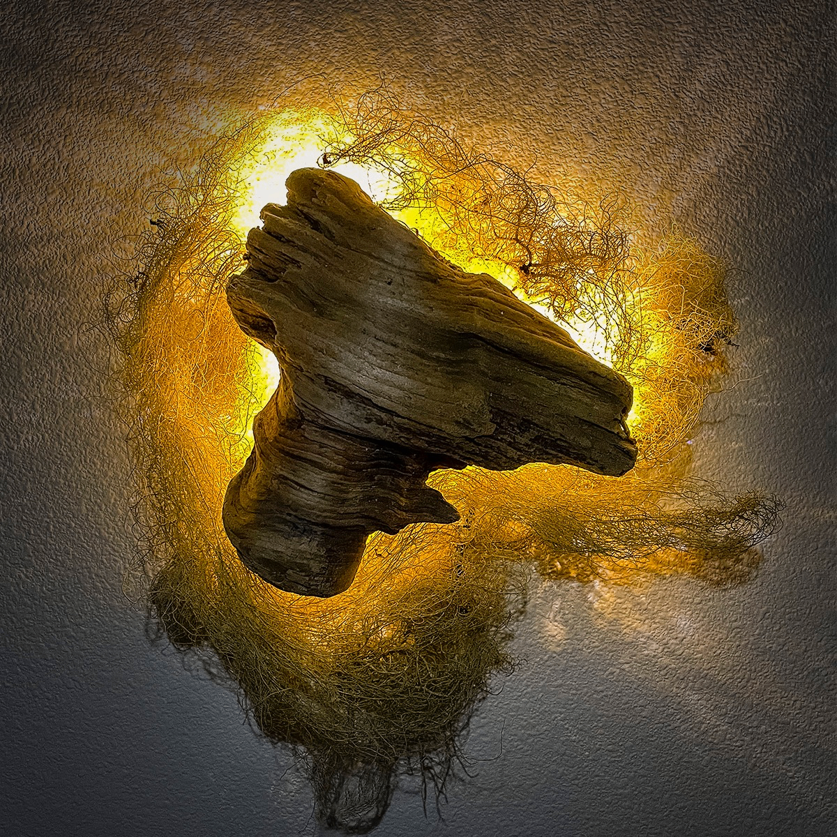 Untitled, 2025 Beachwood from the Salmon River Estuary, horsehair lichens from Cascade Head, OR, LED light strip. 