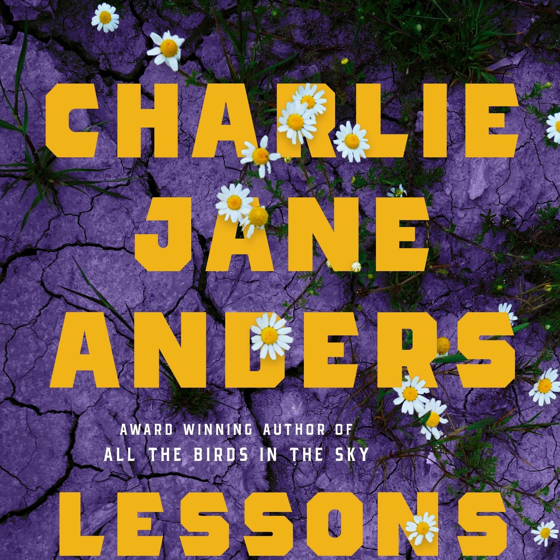book cover with title in bold
