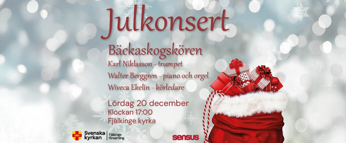 Evenemangs bild för evenemang Bäckaskogskörens julkonsert