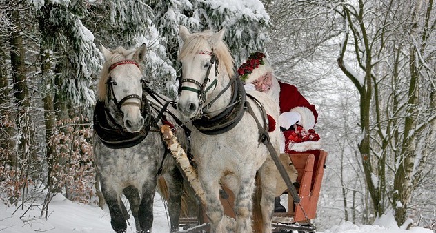 Evenemangs bild för evenemang Julmarknad på Ivögårdens mat- och vingård
