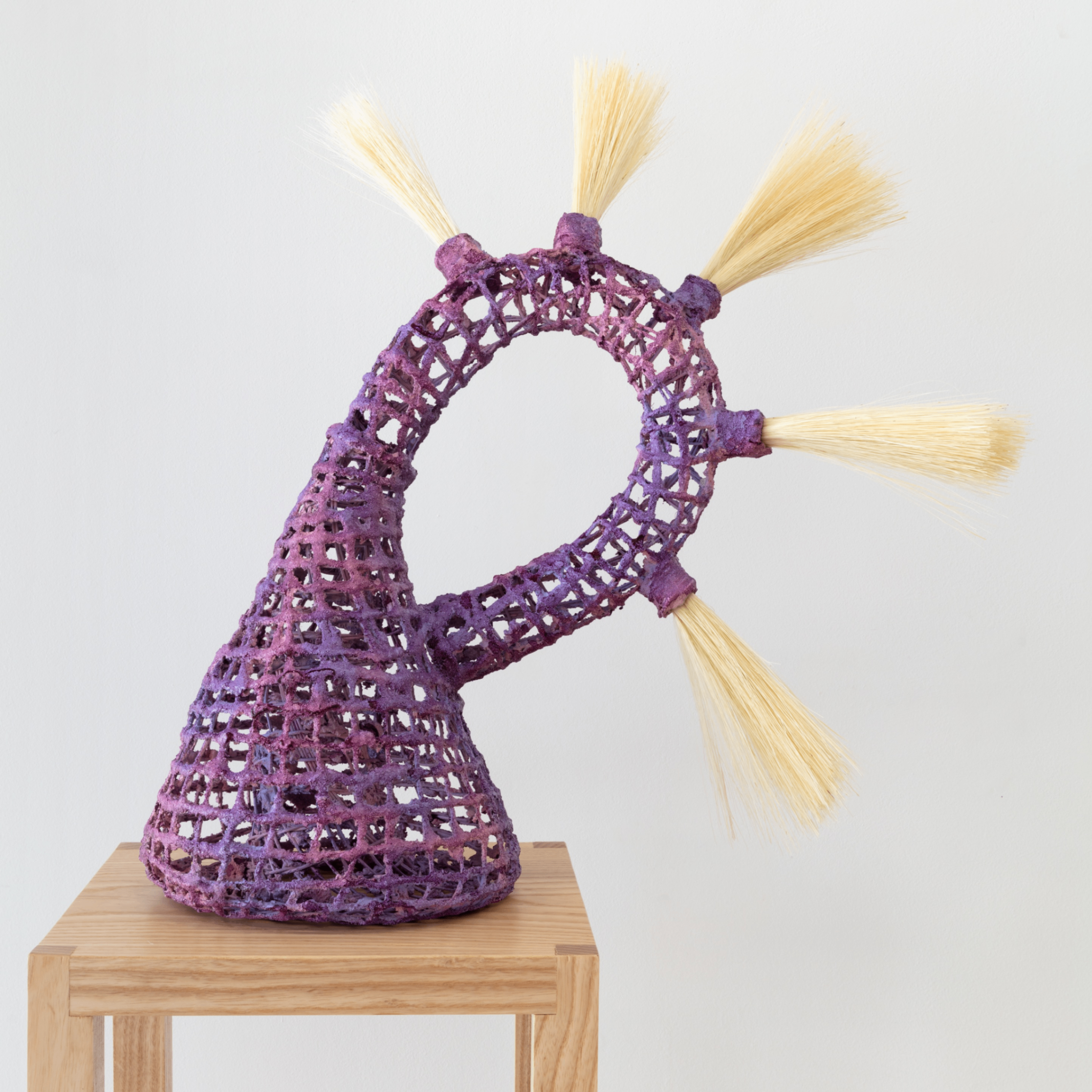 Event Photo: Summer School: Sculptural Basketry