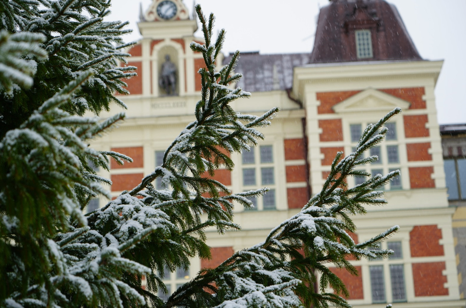 Julgran med snö framför Kristianstad Rådhus 