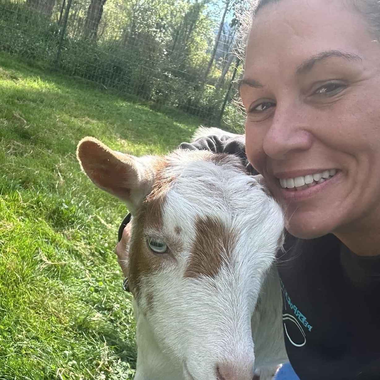 a person hugging a goat