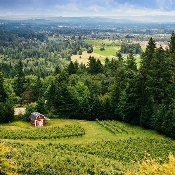 a red barn sits beside fields of grapes