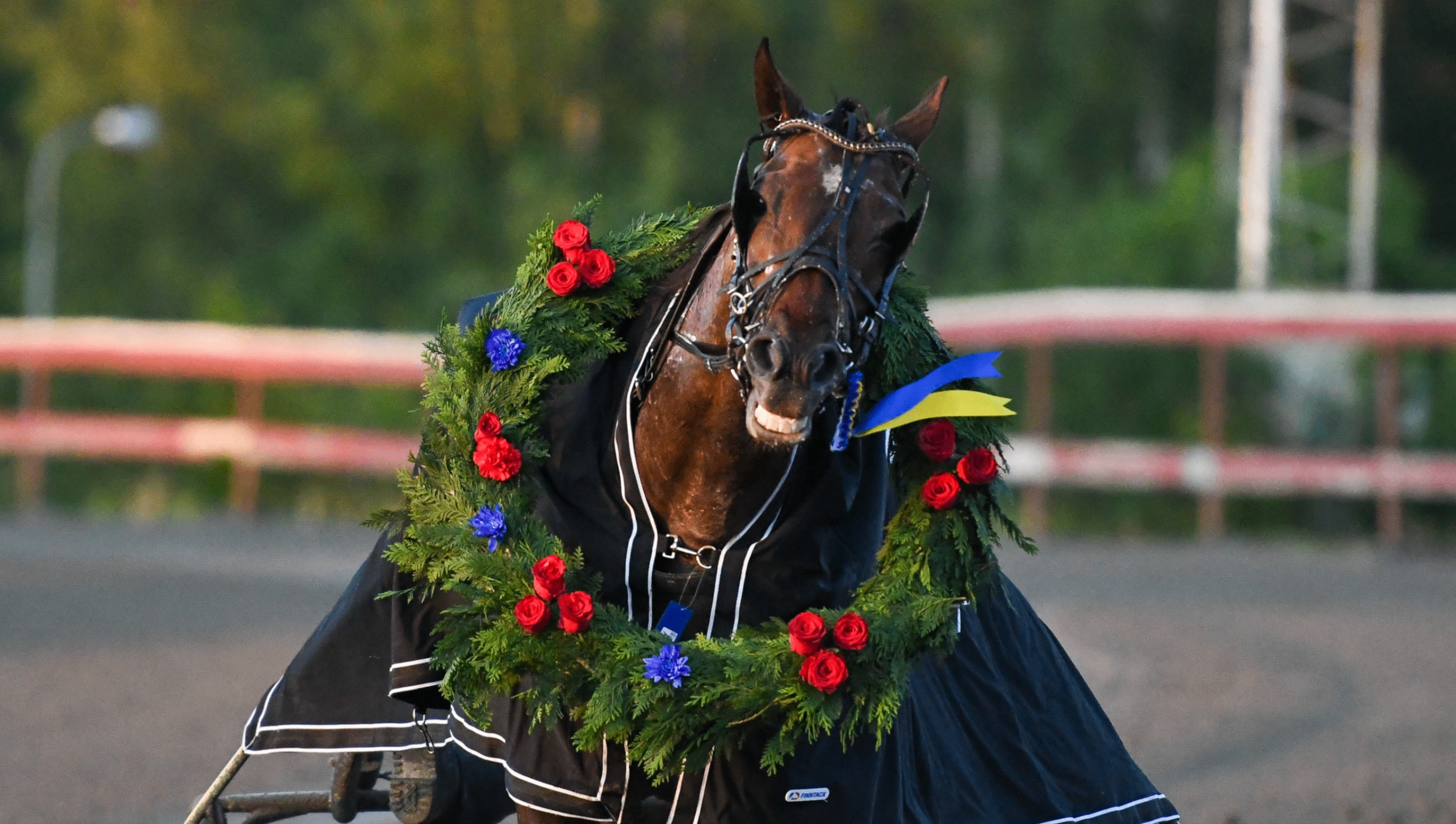 Midsommartravet