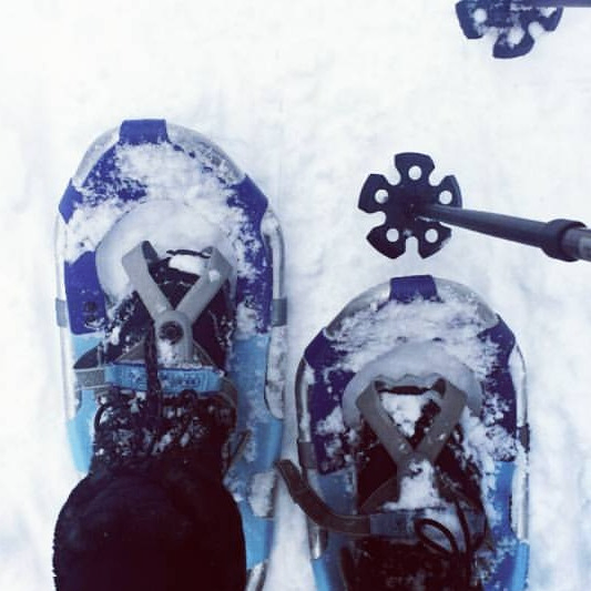 Event Photo:  Winter Snow Play and Sauna Day with Sip, Savor, Explore Oregon