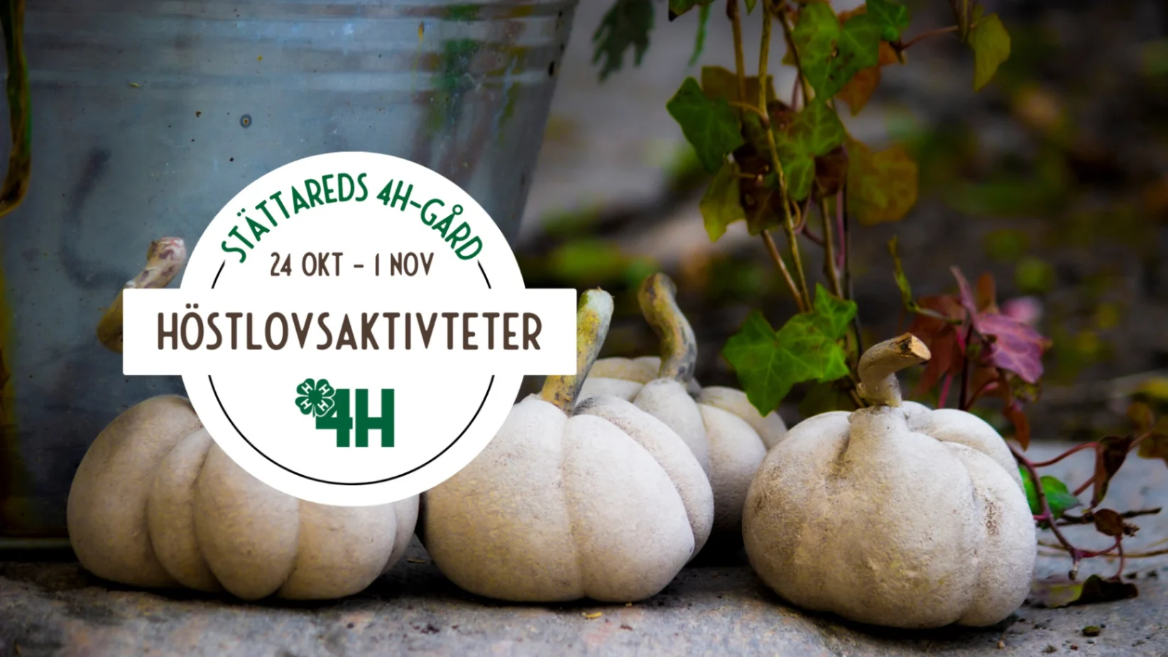 Höstlov på Stättareds 4H-gård - Barn & Familj evenemang i Varberg