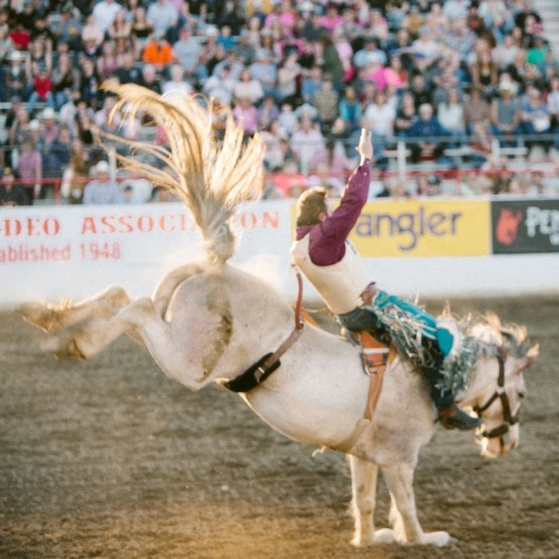 Reddingf Rodeo Redding Rodeo