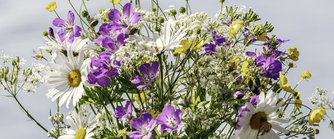 w-1152h-480-049f26-Facebook evenemang Foto Bukett Midsommar FotoMostphotos.jpg