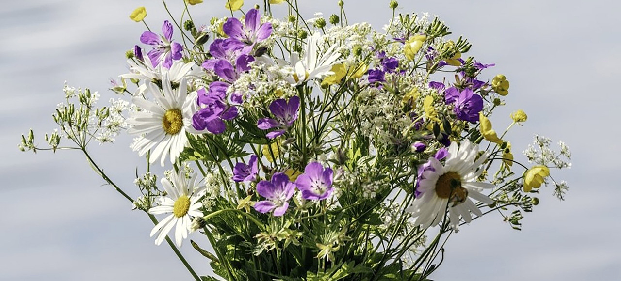 w-1280h-580-0ccd8f-Bukett Midsommar FotoMostphotos_Destination.jpg