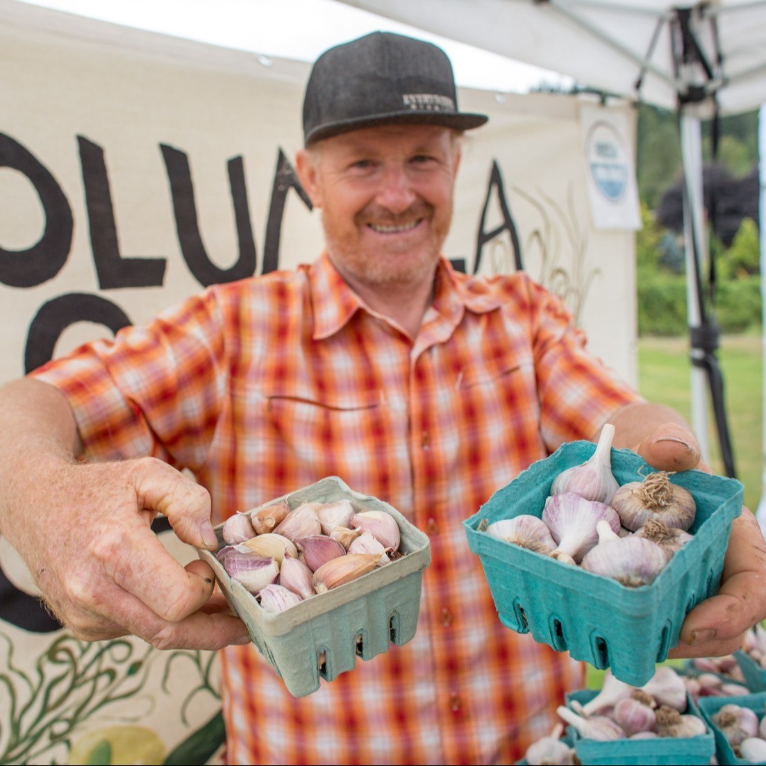 Event Photo: Clatskanie Garlic Festival