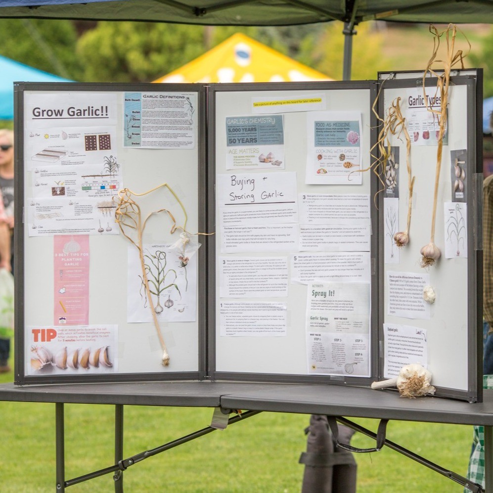 Event Photo: Clatskanie Garlic Festival