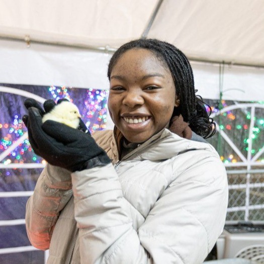 Event Photo: Christmas on the Campground