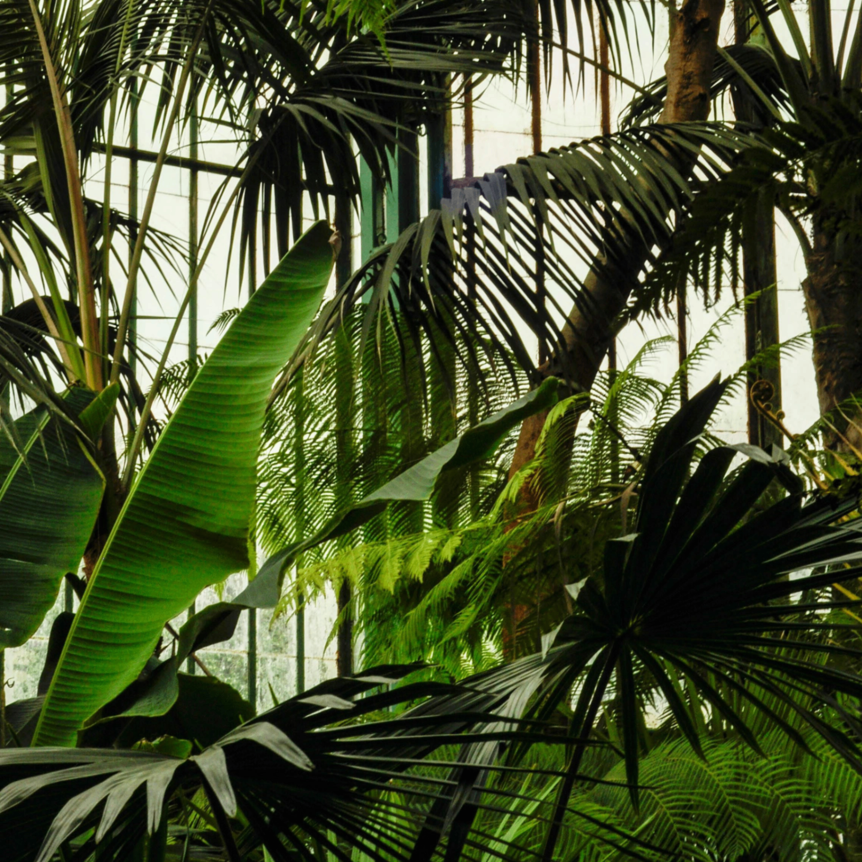 Event Photo: Sketchbook Workshop: Glorious Greens